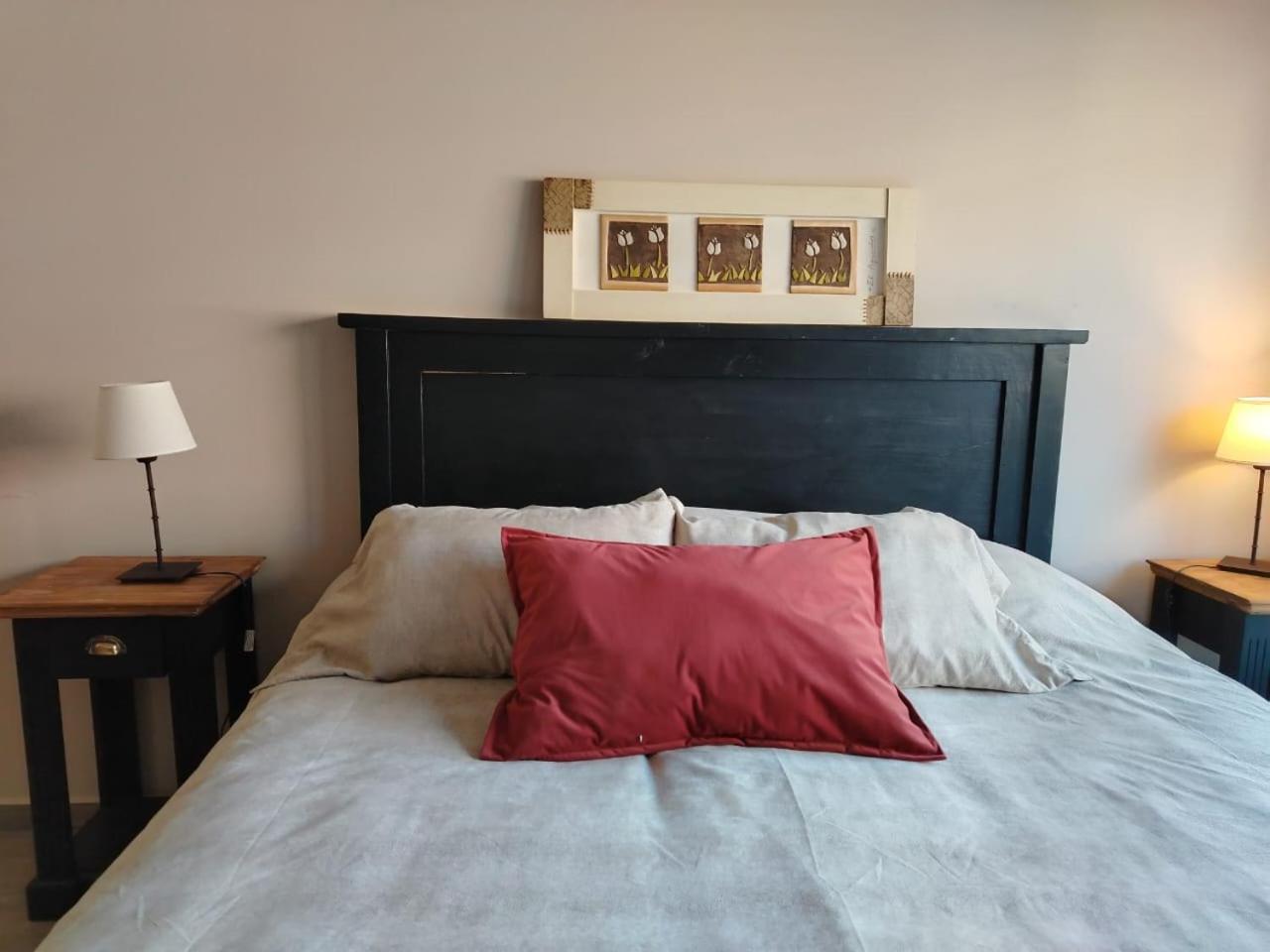 Brc Apartment 6 San Carlos de Bariloche Dış mekan fotoğraf